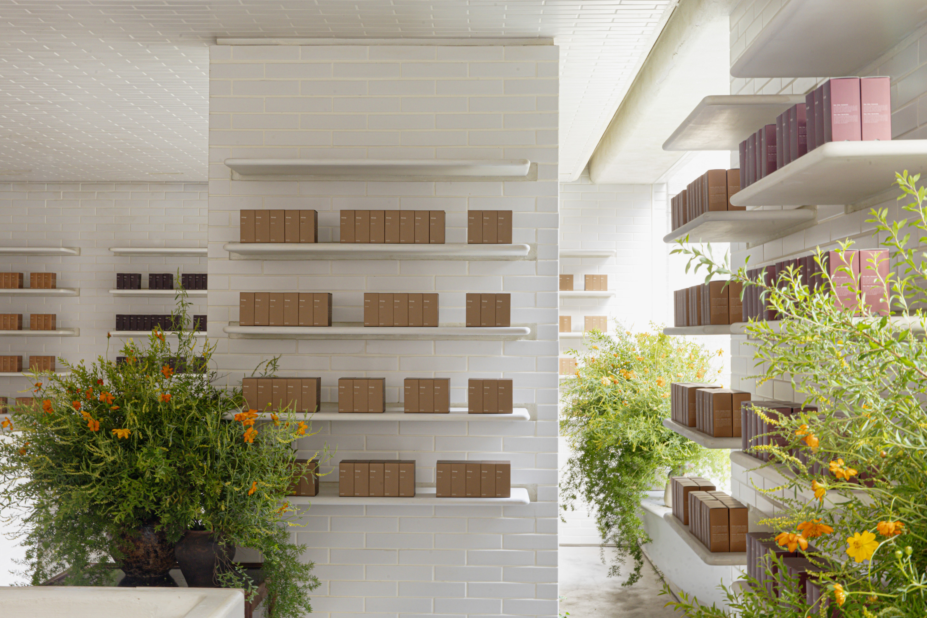Aesop夏季期間限定花店